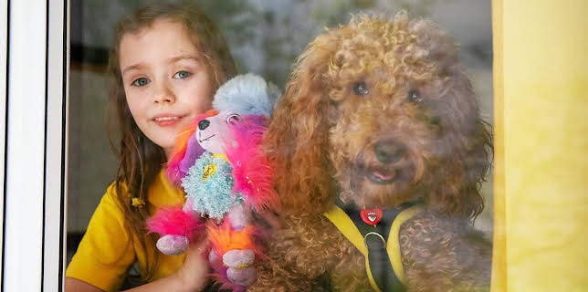 2:40 PM: Waffle the Wonder Dog (S4) | Cbeebies | 12/2 2025