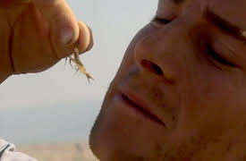 Man vs. Wild Season 1: African Savannah