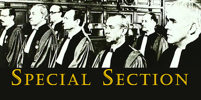 Special Section (1975)