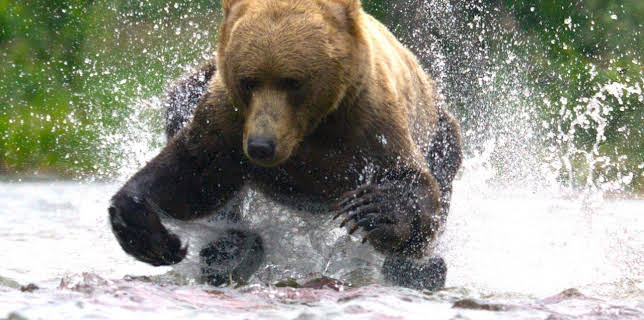 09:38: Hand in Hand mit der Natur | Arte | 11/7 2025