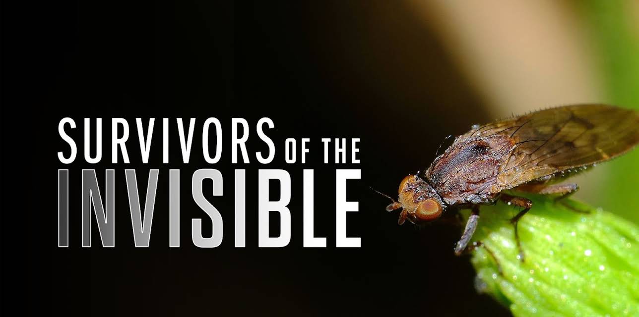 Survivors of the Invisible (2015)