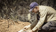 Australian Gold - Schatzsuche Down Under