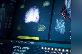 Longevity: E1. Longevity