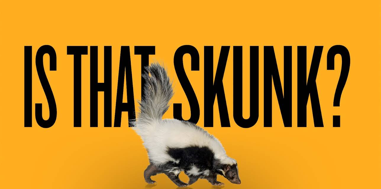 Is That Skunk? (1982)