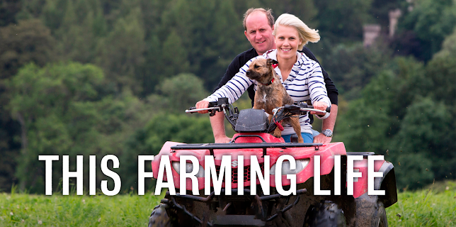 This Farming Life