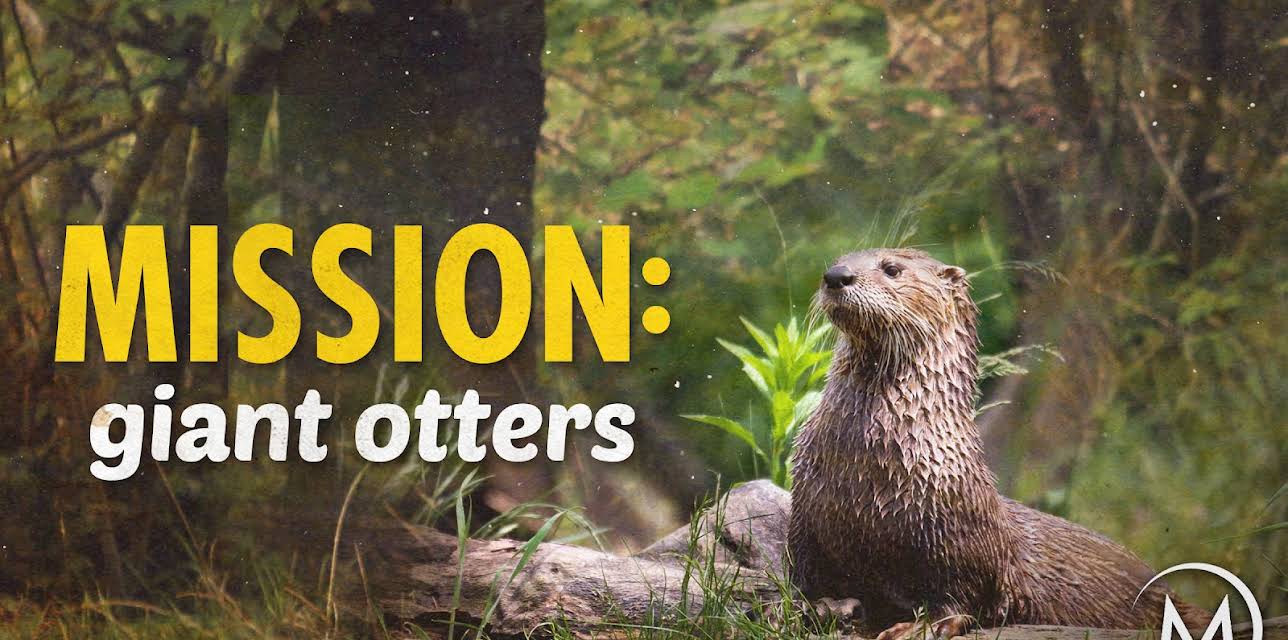 Mission: Giant Otters (2004)