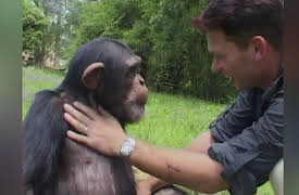 Escape to Chimp Eden Season 1: -10