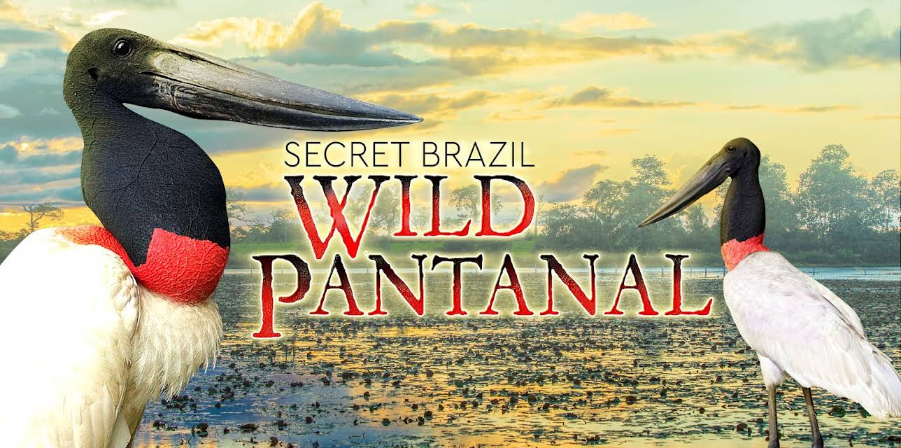 Secret Brazil Wild Pantanal