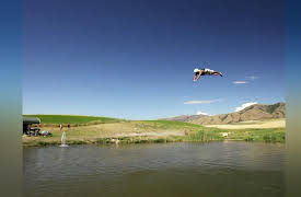Outrageous Acts of Science Season 1: Epic Stunts