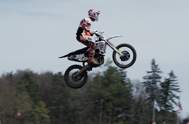 Behind the Gate - 2023: 2023 - Bittersweet