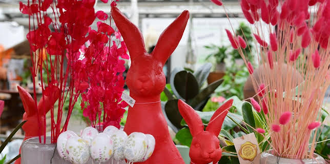 10:00: Schnittgut. Alles aus dem Garten | ARD Alpha | 3/24 2026