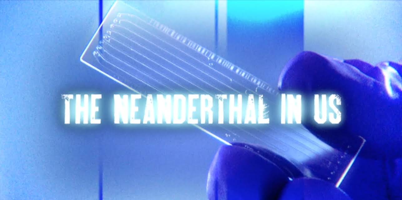 The Neanderthal in Us (2010)