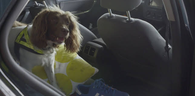 03:00: Border Patrol Ireland - Einsatz an der Grenze | ProSieben Maxx | 1/12 2026