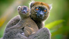 Tropische Inseln (1/3)