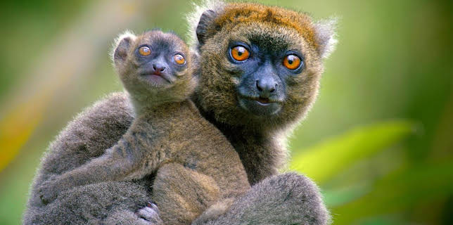 20:15: Tropische Inseln (1/3) | ARD Alpha | 12/31 2025