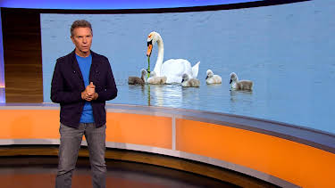 05:15: Abendschau | BR Fernsehen | 10/3 2026