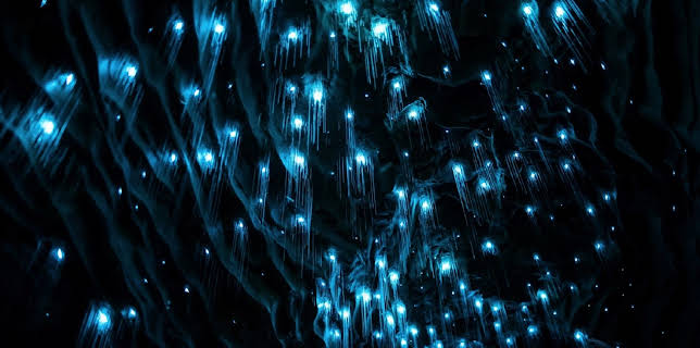 10:10: Neuseeland - Rivalen der Urzeit | ZDFinfo | 11/5 2025