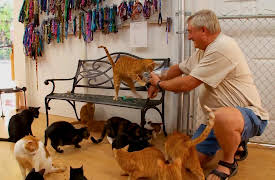 Pets in Paradise: The Golden Rule