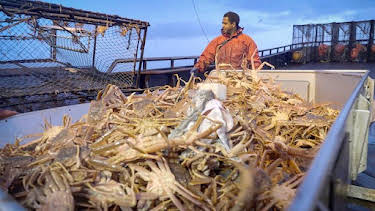 12:00 AM: Deadliest Catch (S20) | Discovery Channel | 10/29 2026