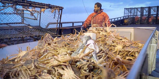 12:00 AM: Deadliest Catch (S20) | Discovery Channel | 3/7 2026
