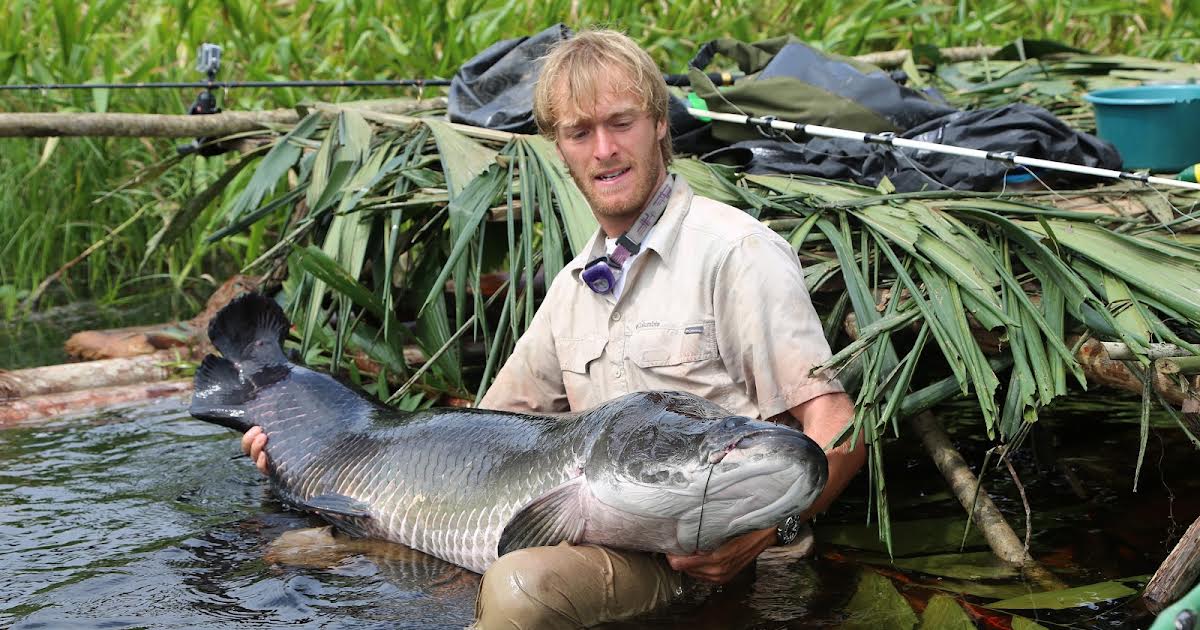 27/10 21:00 | Big Fish Man på Animal Planet