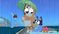 Bluey