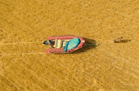 White Lines: Avsnitt 6