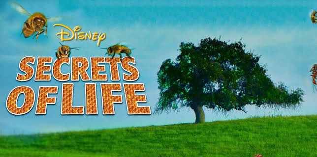 Secrets of Life (1956)