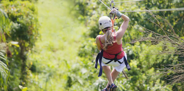 20:35: Hvordan den lages (S23 E8) (S23) | Discovery Science | 11/4 2025