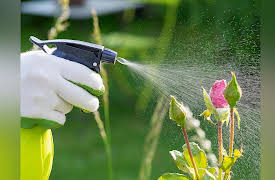 The Science of Gardening: Understanding Pesticides