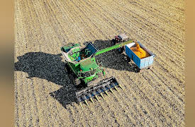 American Farmer: Maximizing Harvest