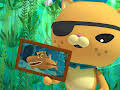 Octonauts