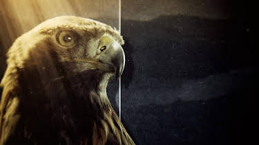 6:00 PM: Natural World | BBC Two | 9/13 2026
