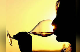 The Everyday Guide to Wine: Sampling Argentina and Chile