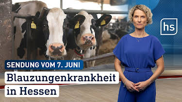 07:50: hessenschau | HR Fernsehen | 6/8 2026