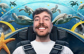 MrBeast: Luxury Experiences!: $1 vs $500,000 Experiences!
