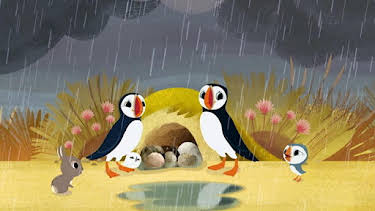 5:00 PM: Creag nam Buthaidean/Puffin Rock (S1) | BBC Alba | 10/19 2026
