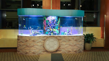 20:00: Tanked (S4 E19) (S4) | Animal Planet | 4/26 2026