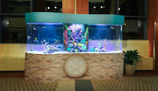 Tanked (S4 E19)