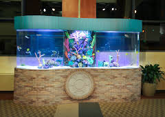 Tanked