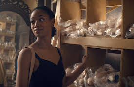 Tiny Pretty Things: Corps