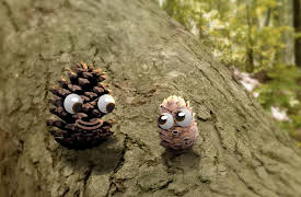 Pops and Peanut: Season 1: POP Corn