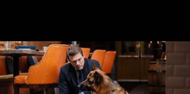 20:07: Hudson y Rex (T2): Ep.15 Perro viejo, trucos nuevos | AXN | 3/10 2026