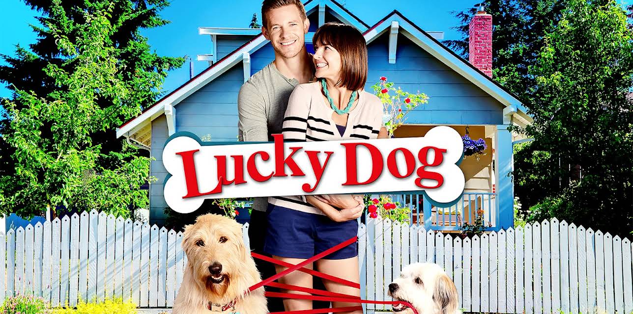 Lucky Dog (2015)
