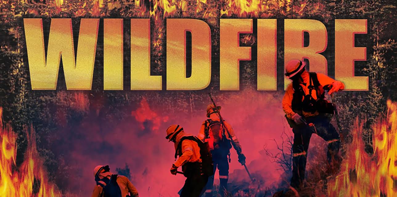 Wild Fire (2010)