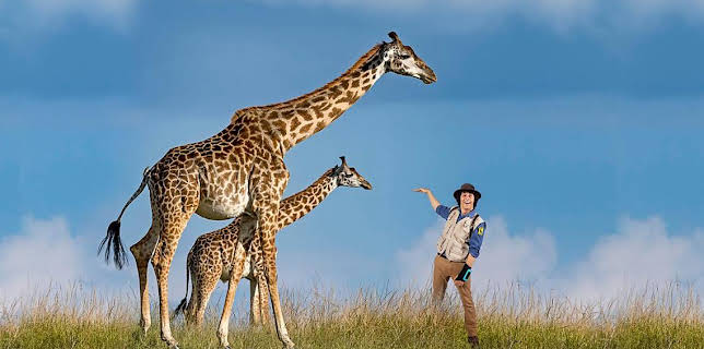 5:05 PM: Andy's Safari Adventures (S1) | Cbeebies | 2/20 2026