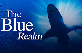 The Blue Realm Season 1: Shark Business