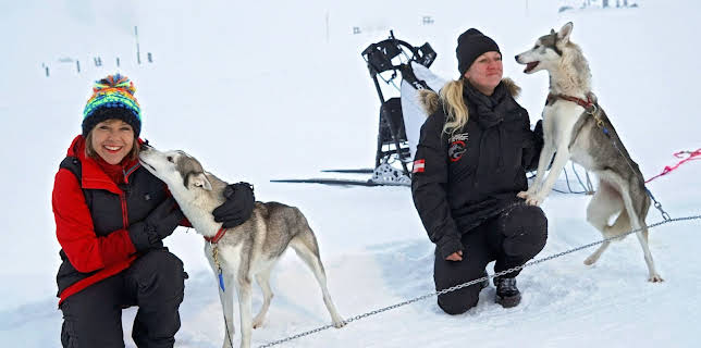 14:45: Expedition in die Heimat | SWR Fernsehen RP | 2/15 2026