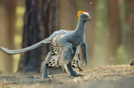 Life on Our Planet: Kapitel 6: Out of the Ashes