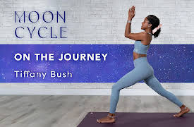 Moon Cycle: On the Journey